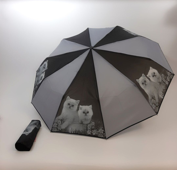 photo_2022-04-14_13-36-31 (2)